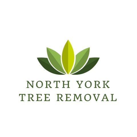 Tree Removal North York